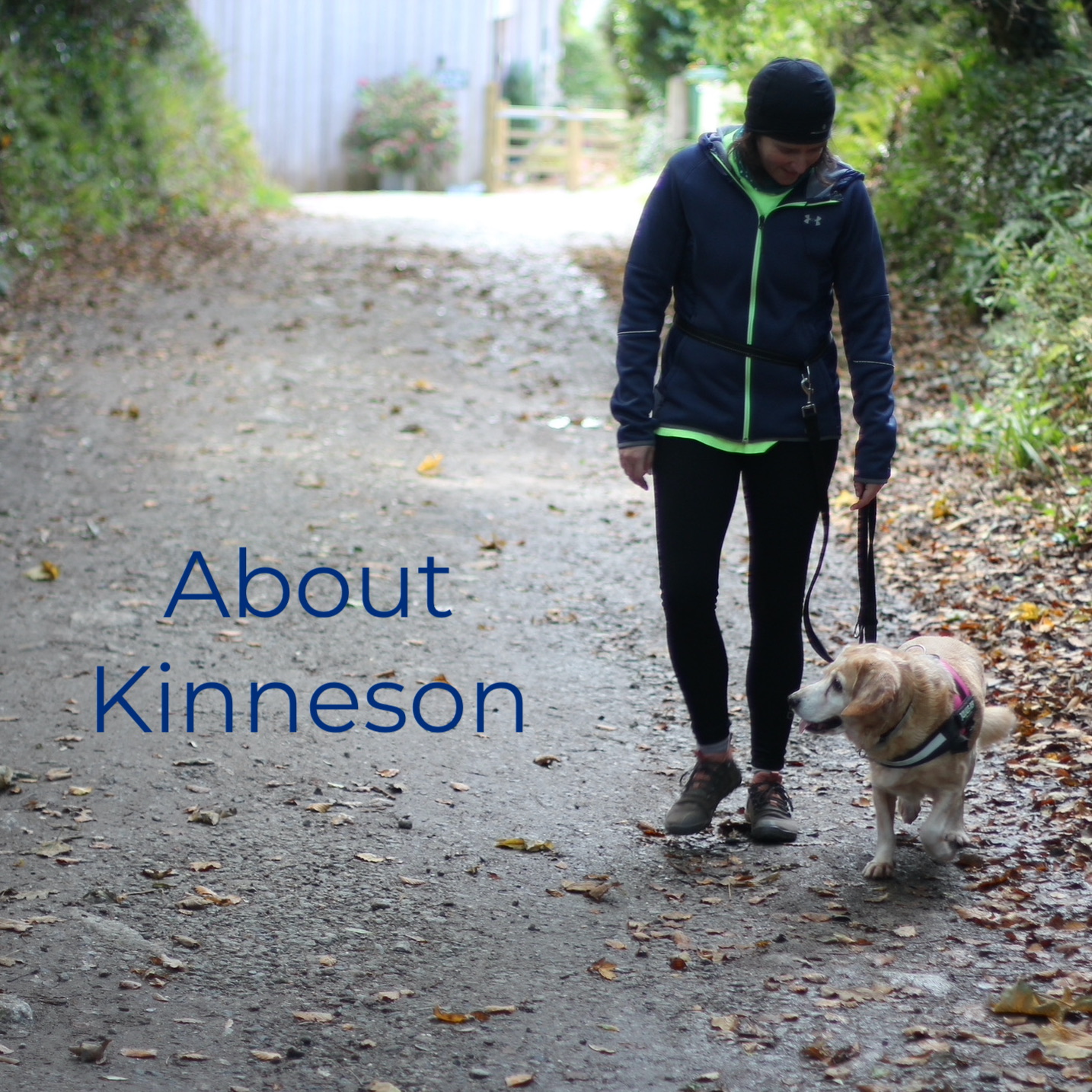 About Kinneson Lalor